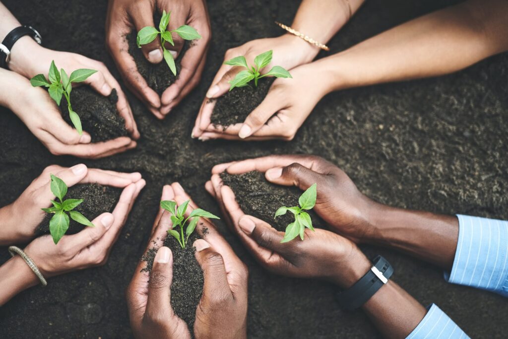 Hands of business professionals planting trees in soil, demonstrating sustainability in Africa
